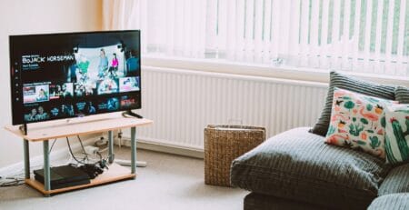 Cozy living room with a TV on a small stand streaming Netflix (BoJack Horseman), a gray corduroy sofa with cactus-and-flamingo pillows, a wicker basket, and daylight filtering through vertical blinds.