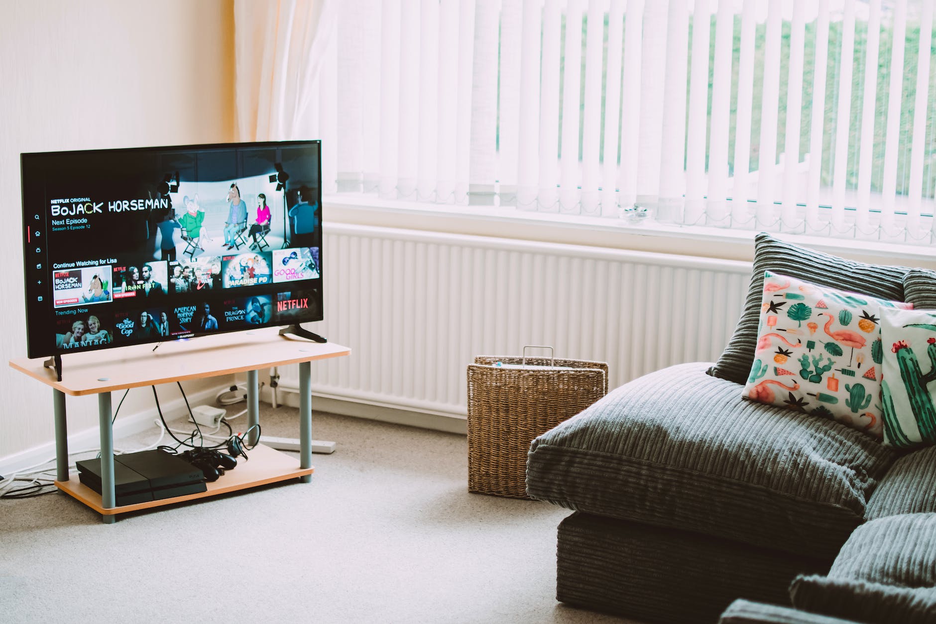 Cozy living room with a TV on a small stand streaming Netflix (BoJack Horseman), a gray corduroy sofa with cactus-and-flamingo pillows, a wicker basket, and daylight filtering through vertical blinds.
