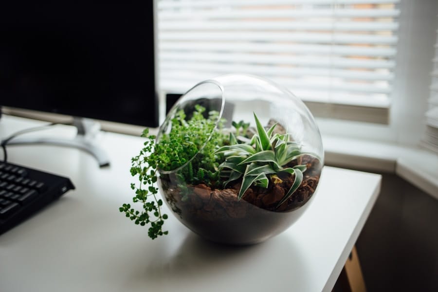 Spherical glass terrarium with succulents and greenery on a white desk beside a computer monitor, lit by window light through blinds.