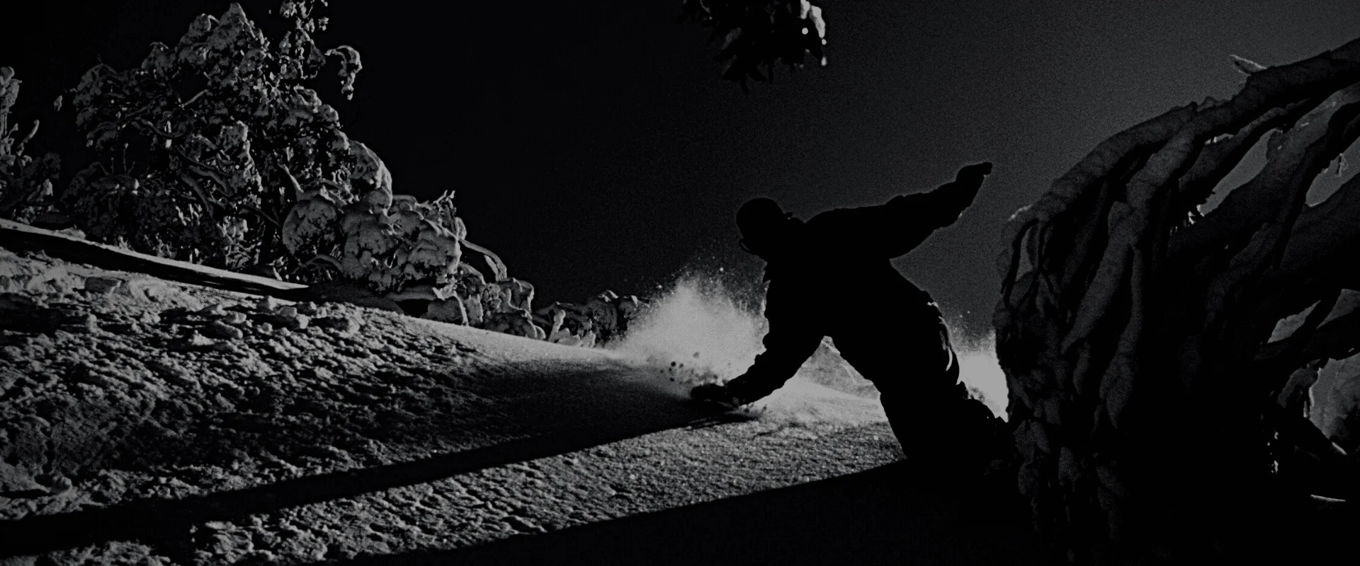 Silhouette of a snowboarder carving a turn on a snow-covered slope at night, kicking up a spray of powder amid snow-laden trees.